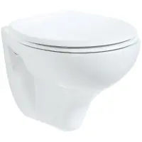 Унитаз подвесной Creavit Perla TP320-00CB00E-0000 с функцией биде, белый