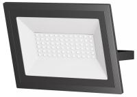 Настенно-потолочный прожектор Maytoni Outdoor Поток FL001-L50B6K