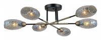 Потолочная люстра ILLUMICO IL0255-6CSQ-79 BK AB