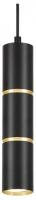 Подвесной светильник Lampit NATI TP TK40-P300 BK+GD