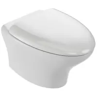 Унитаз подвесной Jacob Delafon Nouvelle Vague EDJ102-00 + E20068-00 безободковый, с сиденьем микролифт, белый