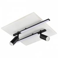 Накладной светильник Lumion STELLS 8256/40CL