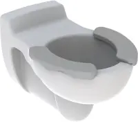 Унитаз подвесной Geberit Bambini 201715000 детский, белый