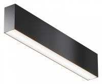 Накладной светильник Maytoni Basis C068CL-20W3-6K-B