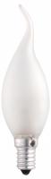 Лампа накаливания Jazzway  E14 60Вт 2700K CT35 60W E14 frosted