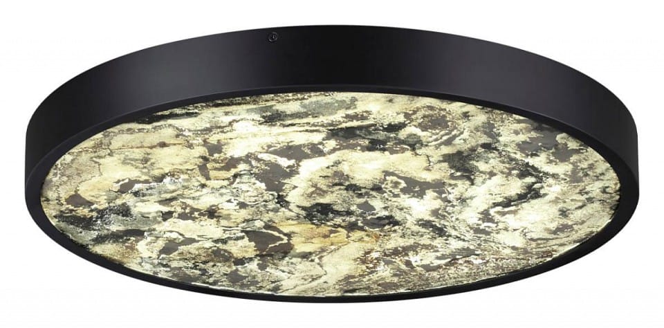 Накладной светильник Odeon Light Bergi 5064/40L
