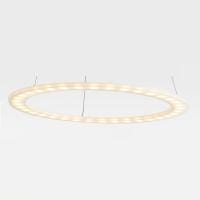 Подвесной светильник Lucia Tucci Modena 6 MODENA 173.1 LED
