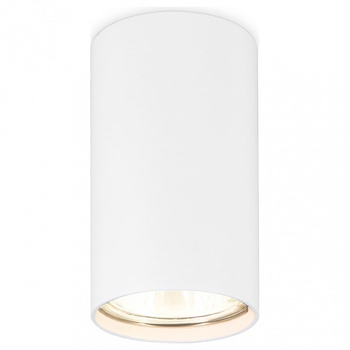 Накладной светильник Ambrella Light TN TN213108