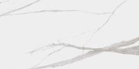 Dogma Project Antibacterial Керамогранит Calacatta Levigato 60x120 полированный