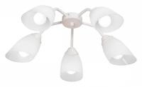 Потолочная люстра Vitaluce V31950 V31950/5PL