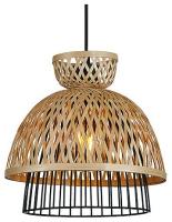 Подвесной светильник Arte Lamp Woodstock A7070SP-1BK