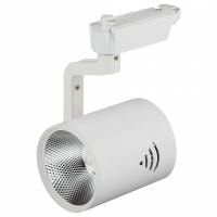 Светильник на штанге Эра TR1 TR1 30 WH