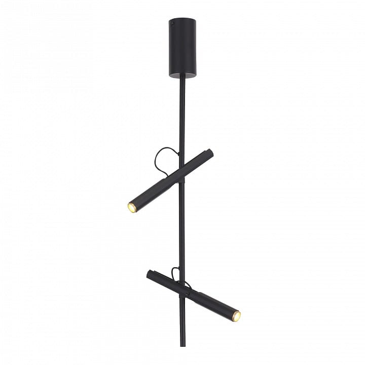 Светильник на штанге ST-Luce LILT SL6210.403.02
