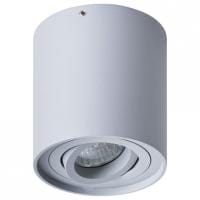Накладной светильник Arte Lamp Falcon A5645PL-1GY