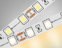 Лента светодиодная Ambrella Light GS GS4001