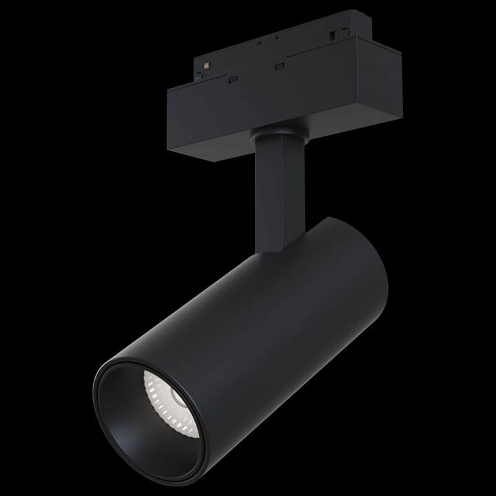 Светильник на штанге Maytoni Technical Фокус TR019-2-15W3K-B