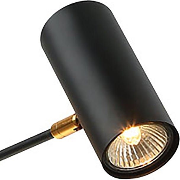 Люстра на штанге Lussole Дункан LSP-8252