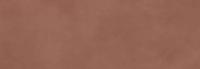 LAMINAM Calce Керамогранит Terracotta 5 100x300 натуральный