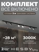 Комплект трековый Hesby Lighting Skylite №13 HSBL_kompl_S013_NI2B3K