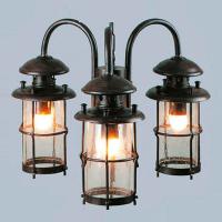 Подвесной светильник L'Arte Luce Battista L70903.07