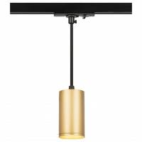 Подвесной светильник Эра TR45 GU10 S MG