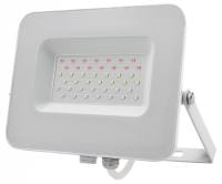 Настенно-потолочный прожектор Jazzway  PFL-30W RGB WH IP65