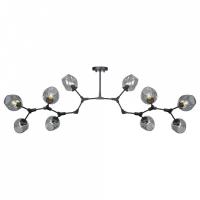 Люстра на штанге AM-Group LOFT LOFT-10 BK