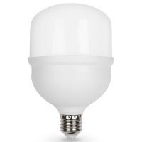 Лампа светодиодная Ambrella Light E27-E40 E27, E40 30Вт 6400K 1003006