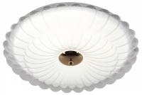 Накладной светильник Эра  SPB-6 Chester 48W-5K WH+GD