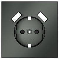 Накладка для розетки с заземлением и со шторками и 2хUSB type A Voltum S70 VLS000906