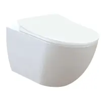 Унитаз подвесной Creavit Free FE322-00CB00E-0000 безободковый, с функцией биде, белый