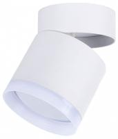 Накладной светильник Favourite Dixi 4709-1C