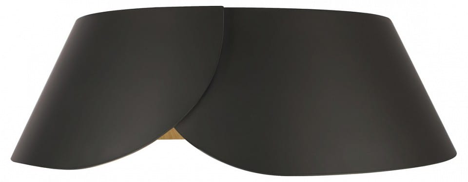 Накладной светильник Loft it Lane 10370 Black