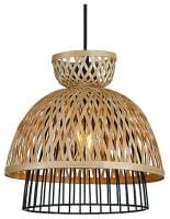 Подвесной светильник Arte Lamp Woodstock A7070SP-1BK