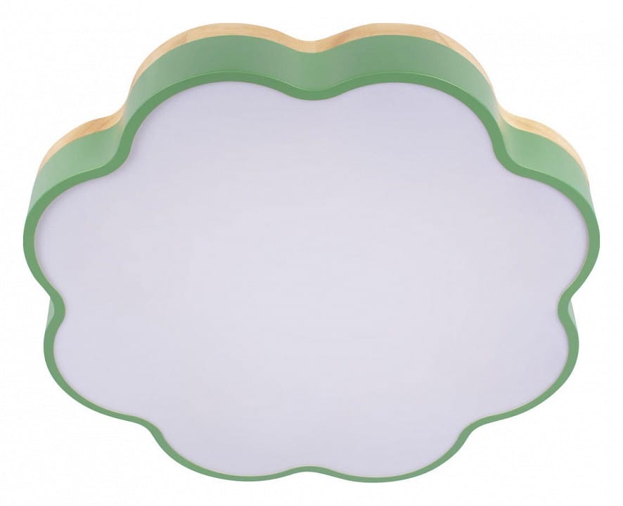 Накладной светильник Loft it Axel 10225/36 Green