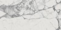 Italon Керамический гранит Charme Evo Floor Project Керамогранит Statuario 60x120 люкс