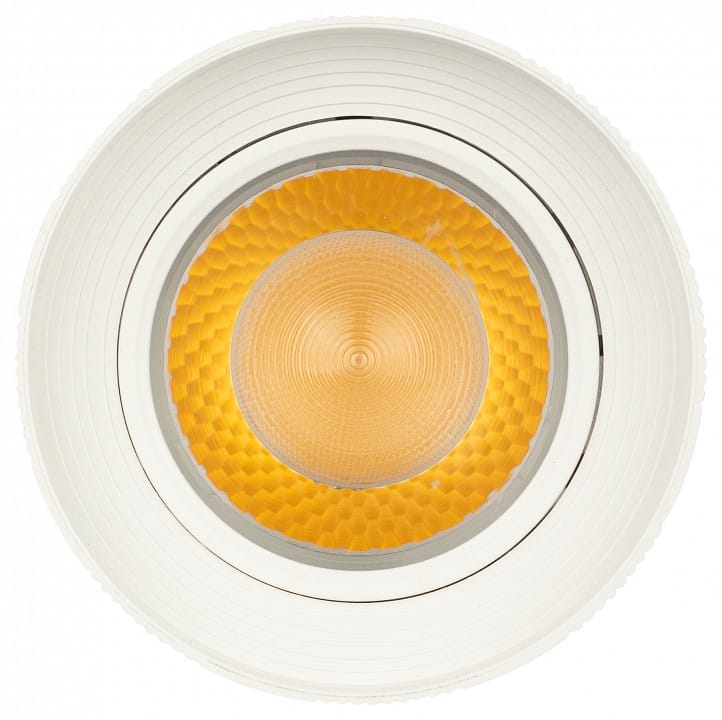 Светильник на штанге Эра  TR59 - 3030 WH
