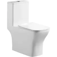 Унитаз-компакт BelBagno Neon BB8617CPR-MN/SC безободковый, с сиденьем микролифт, белый