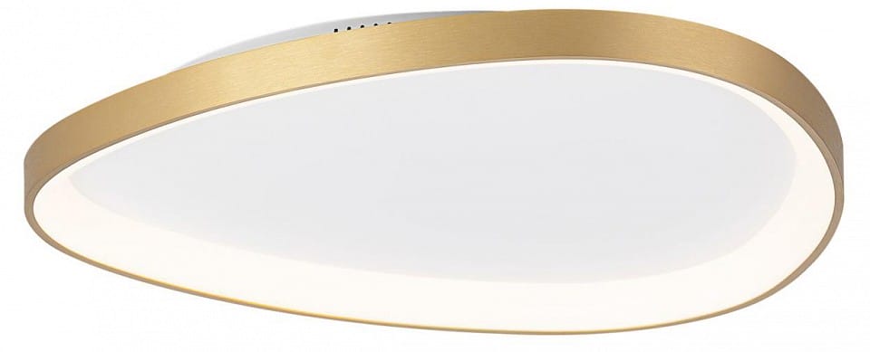 Накладной светильник Citilux GENKA SMART CL756A162