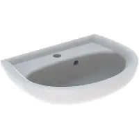 Раковина 50x38 см Geberit Renova 273050000
