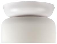 Накладной светильник Loft it Totem 10466 Milky white