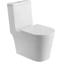 Унитаз-моноблок BelBagno Tre BB673CP-MN-TOR/SC безободковый, торнадо, с сиденьем микролифт, белый