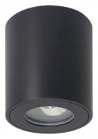 Накладной светильник Arte Lamp Tino A1469PL-1BK