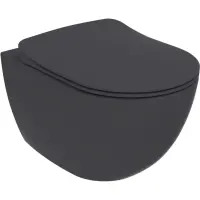 Унитаз подвесной Creavit Free FE322-00AM00E-0000 безободковый, с функцией биде, антрацит матовый