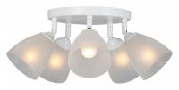 Потолочная люстра Vitaluce V4355 V4355-0/5PL