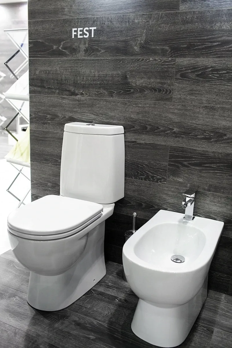 Унитаз-компакт с сиденьем микролифт Sanita Luxe Fest WC.CC/Fest/2-DM/WHT.G/S1