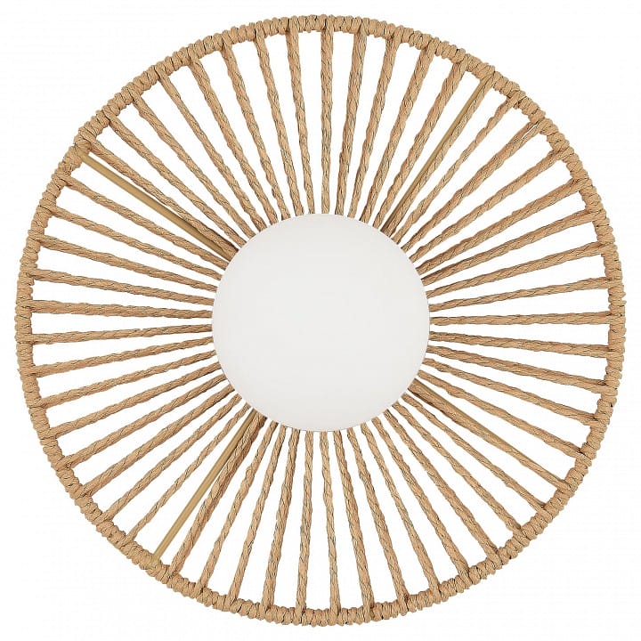 Накладной светильник EVOLUCE LOOM SLE6022-601-01