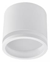 Накладной светильник Favourite Festum 4213-1C