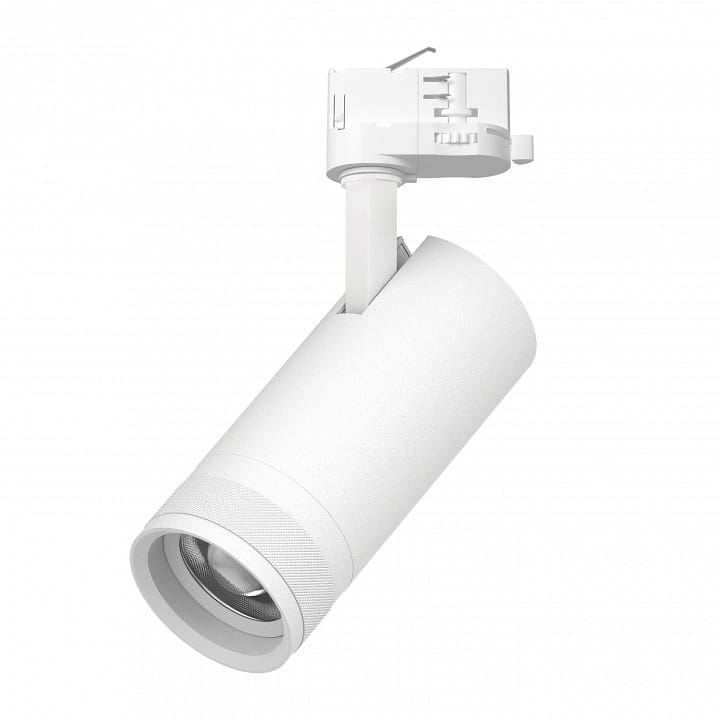 Светильник на штанге Lightstar Canno Pro C4206QT