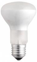 Лампа накаливания Jazzway  E27 40Вт 2700K R63 40W E27 frost